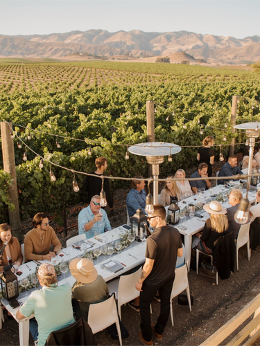 Dine in the Vines