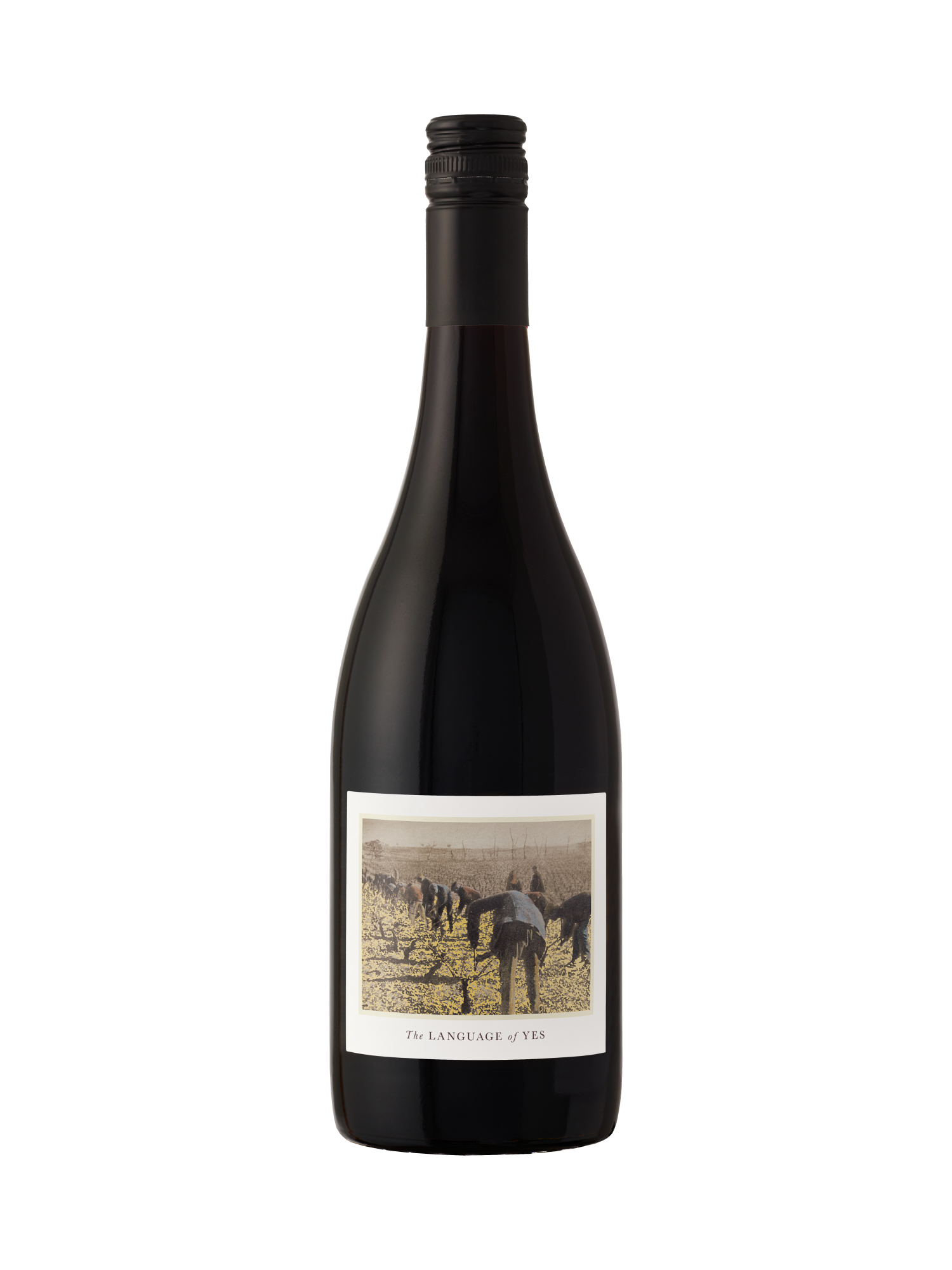 The Language of Yes 2021 Grenache image number 1