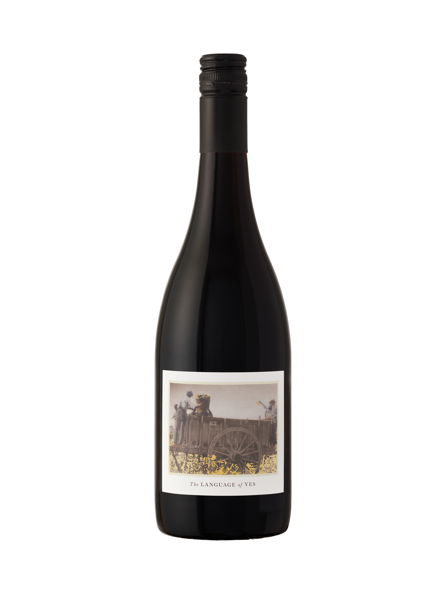 The Language of Yes 2021 Syrah image number 1
