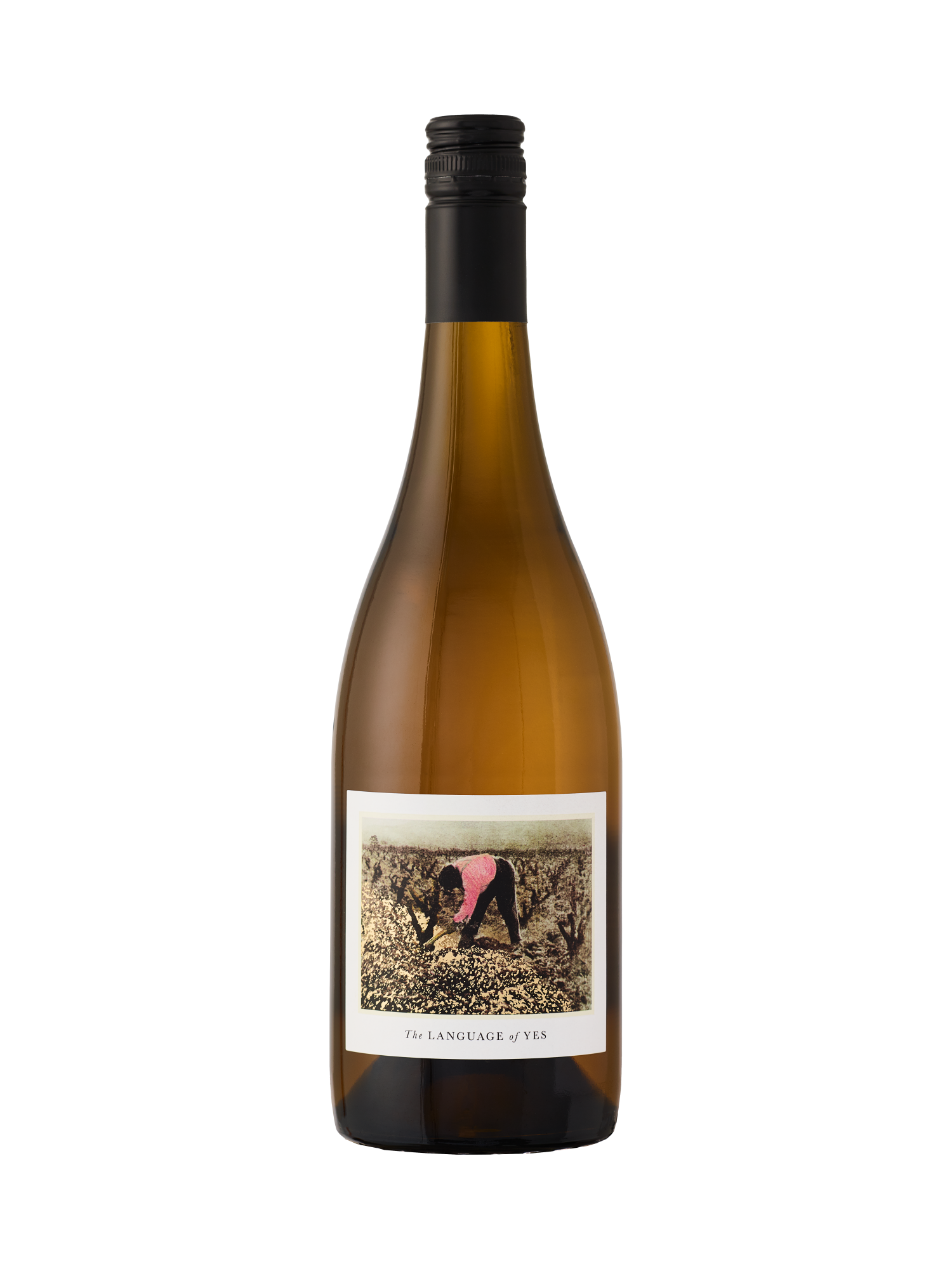 The Language of Yes 2022 Pink Wine image number 1